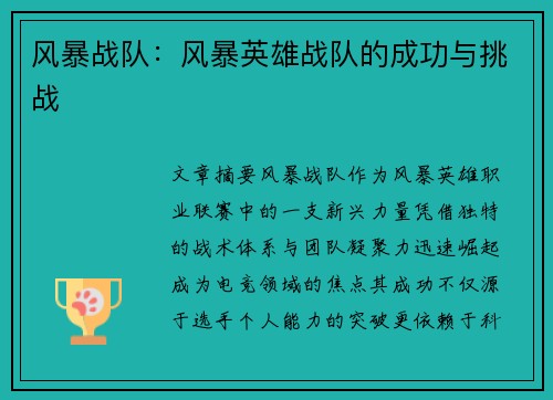 风暴战队：风暴英雄战队的成功与挑战