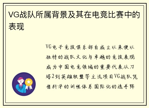 VG战队所属背景及其在电竞比赛中的表现