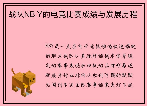 战队NB.Y的电竞比赛成绩与发展历程